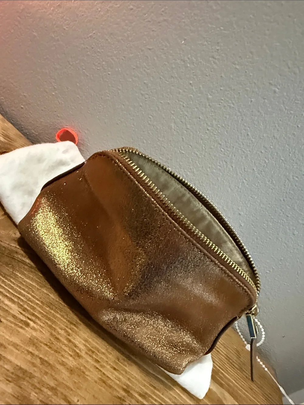 India Hicks Bronze Firefly Metallic Cosmetic Pouch w/ Dust Bag